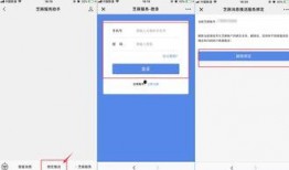 小程序最新实时爆料群,小程序背后的热点动态一网打尽